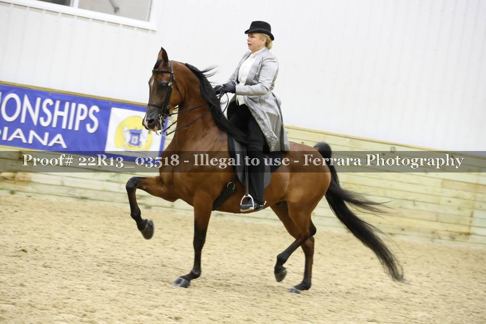 Proof 22R13_03518