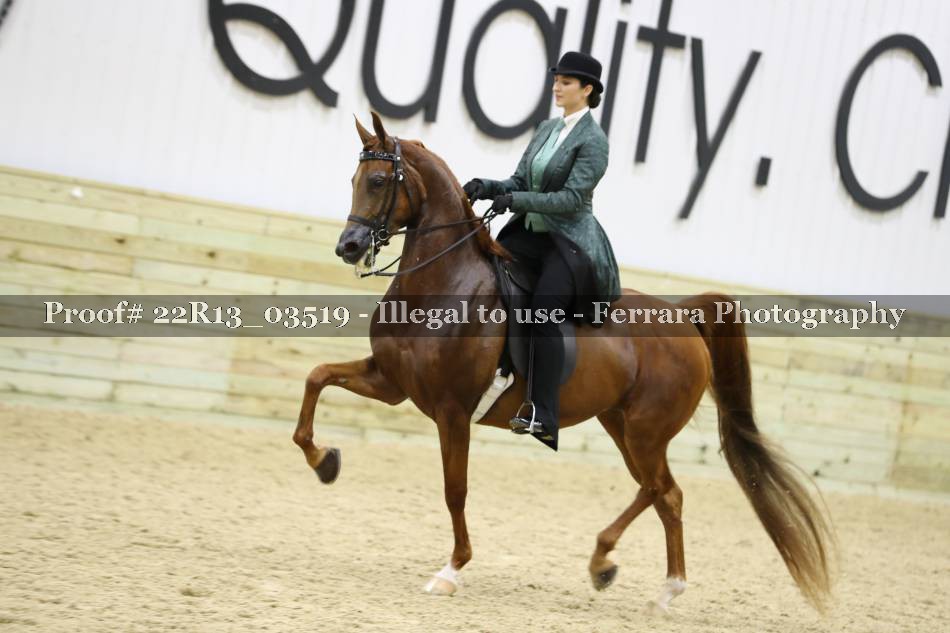 Proof 22R13_03519