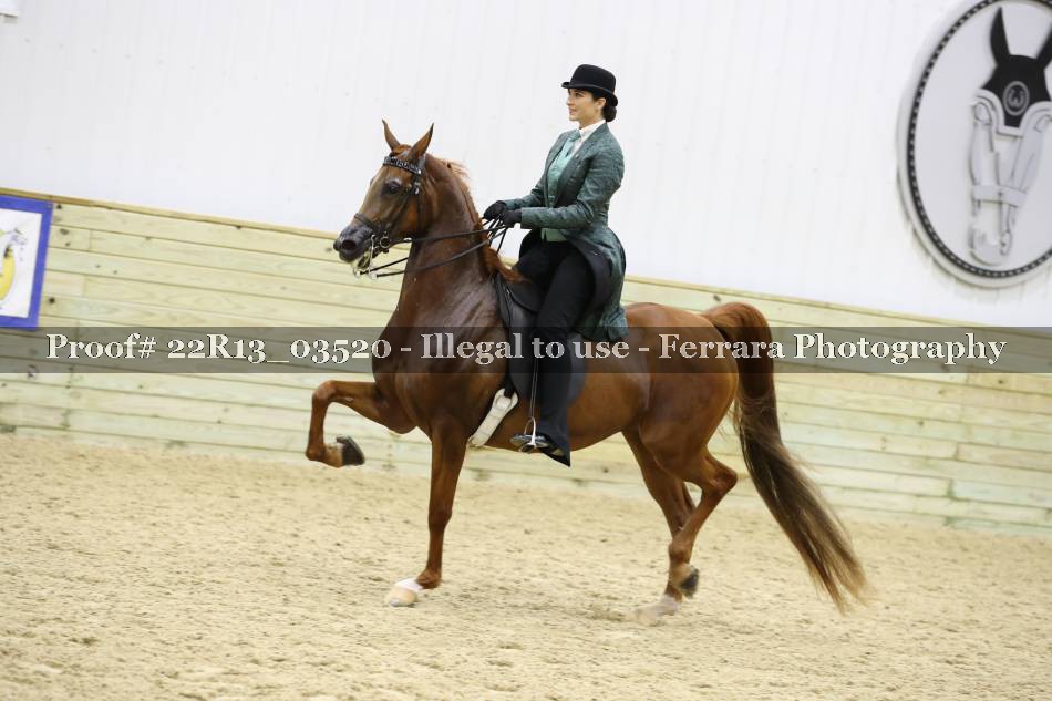 Proof 22R13_03520