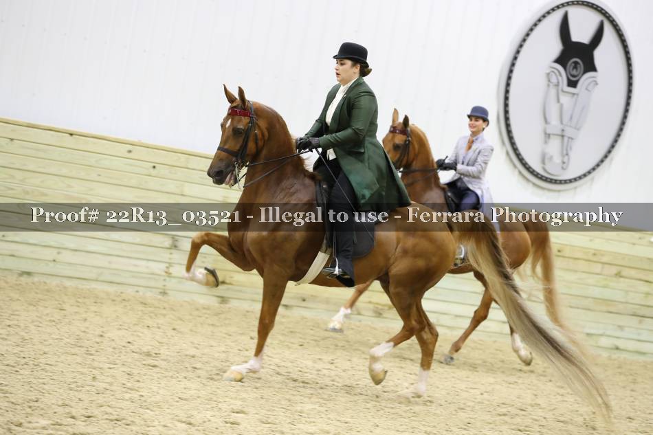 Proof 22R13_03521