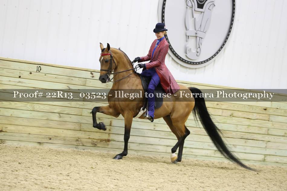 Proof 22R13_03523