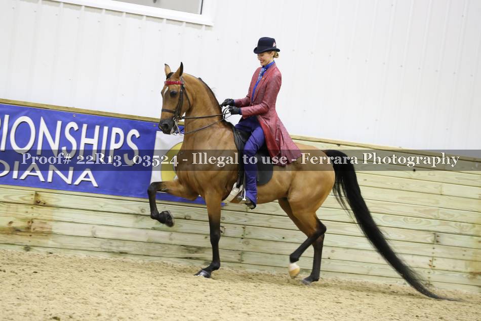 Proof 22R13_03524