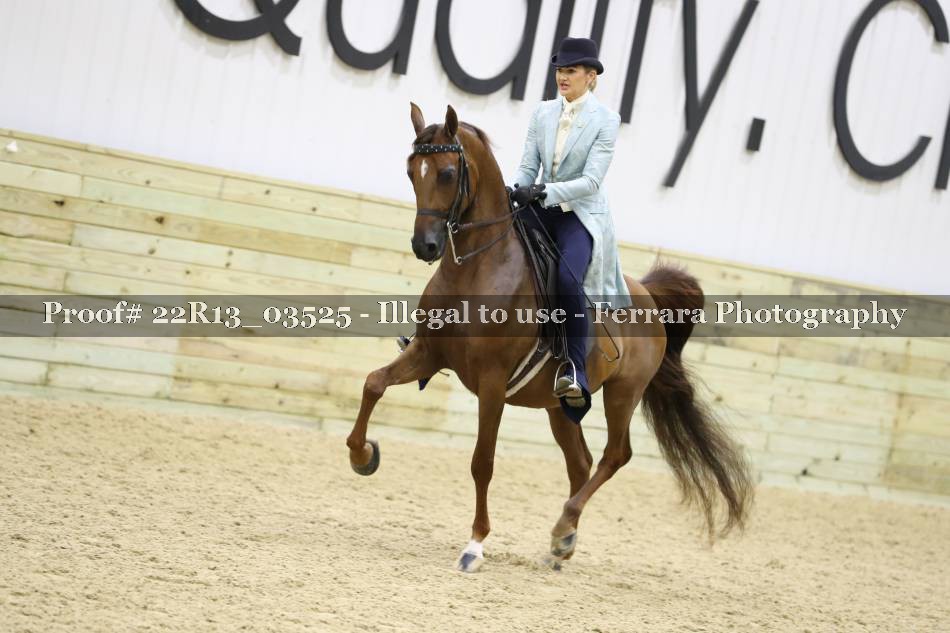 Proof 22R13_03525
