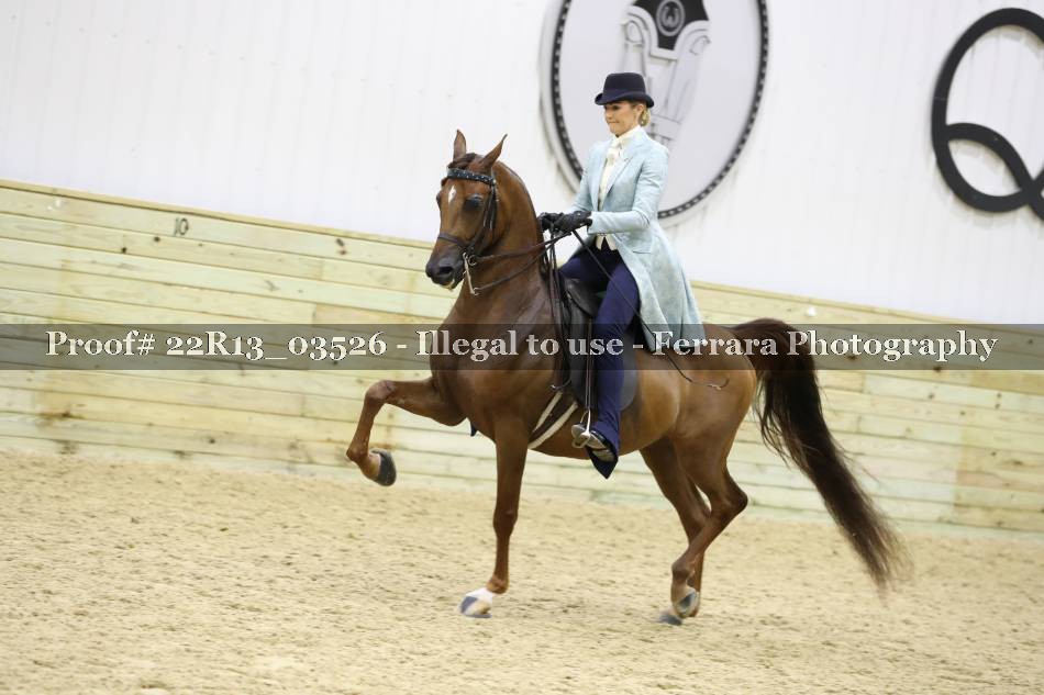 Proof 22R13_03526