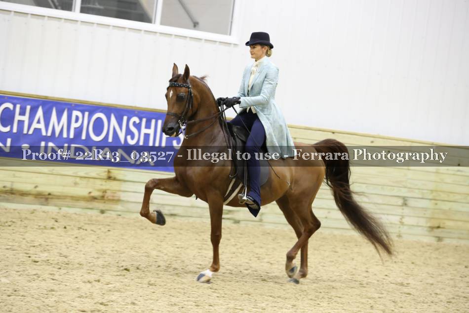 Proof 22R13_03527