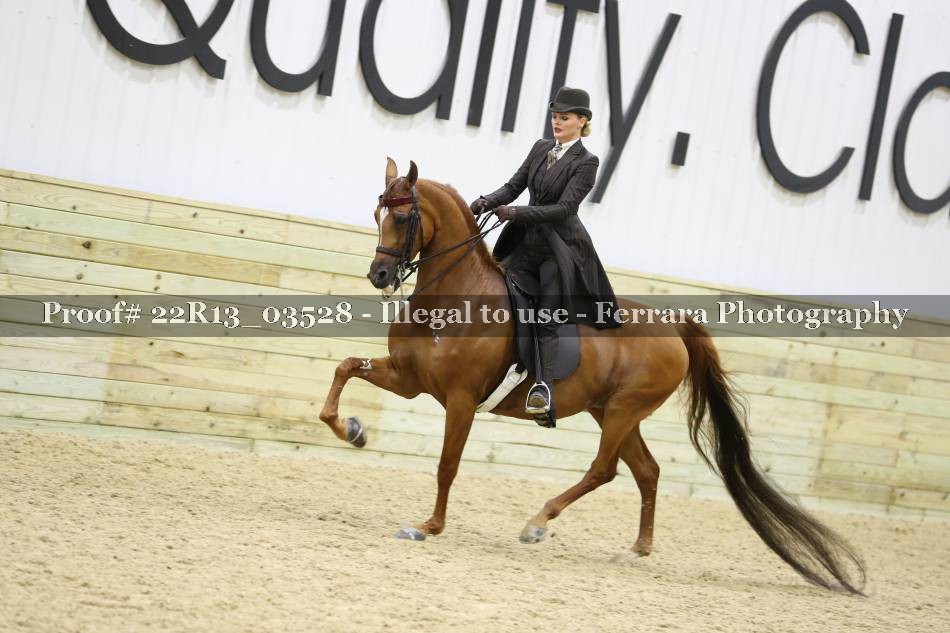 Proof 22R13_03528