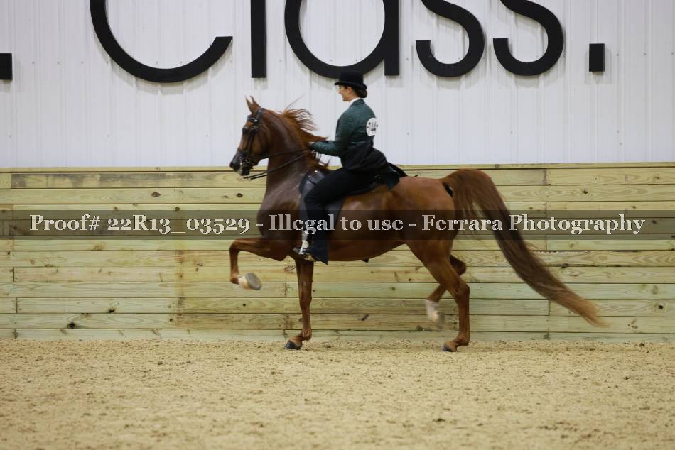 Proof 22R13_03529