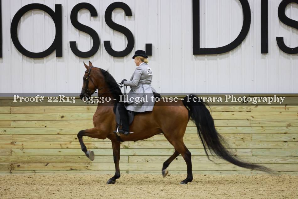Proof 22R13_03530