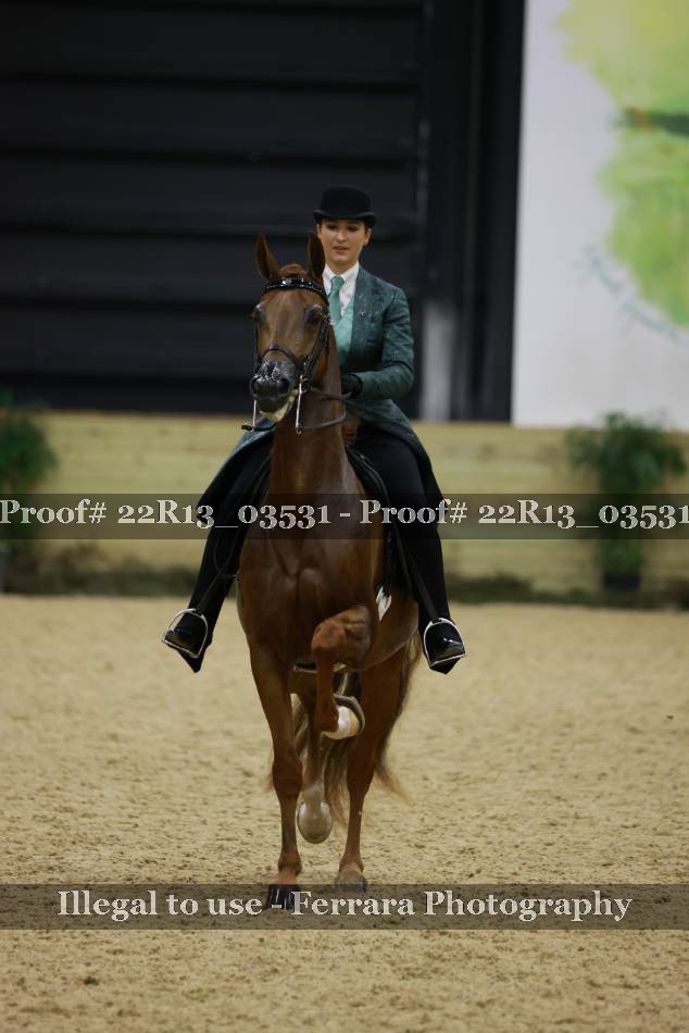 Proof 22R13_03531
