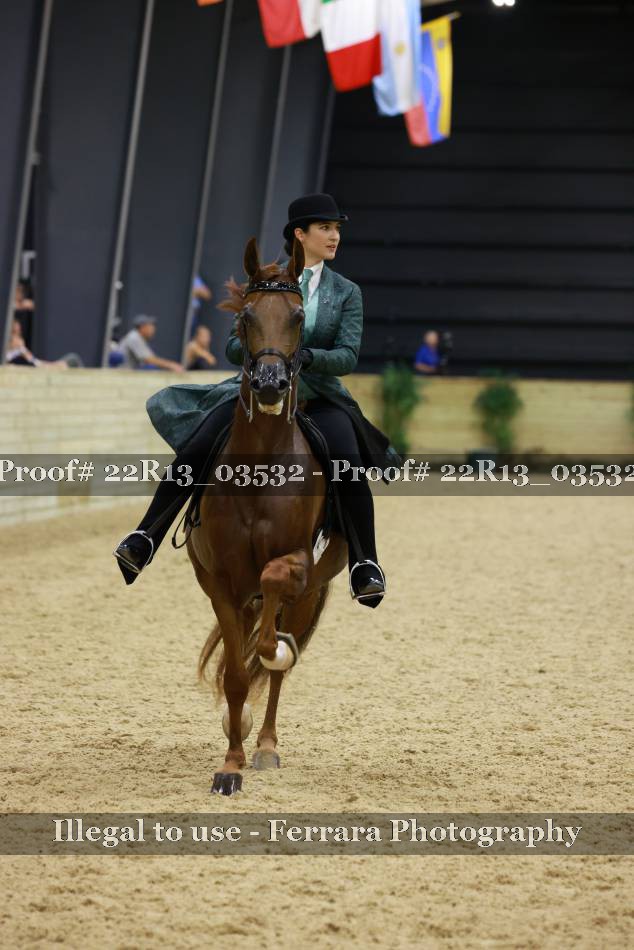 Proof 22R13_03532
