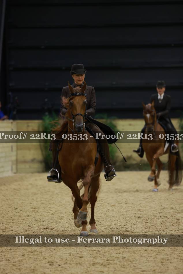 Proof 22R13_03533