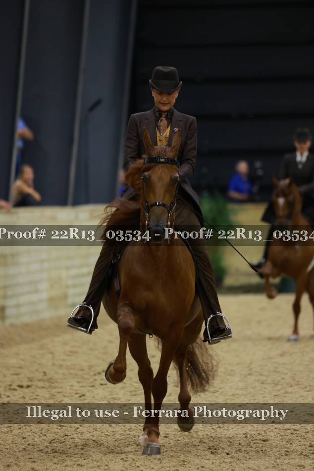 Proof 22R13_03534