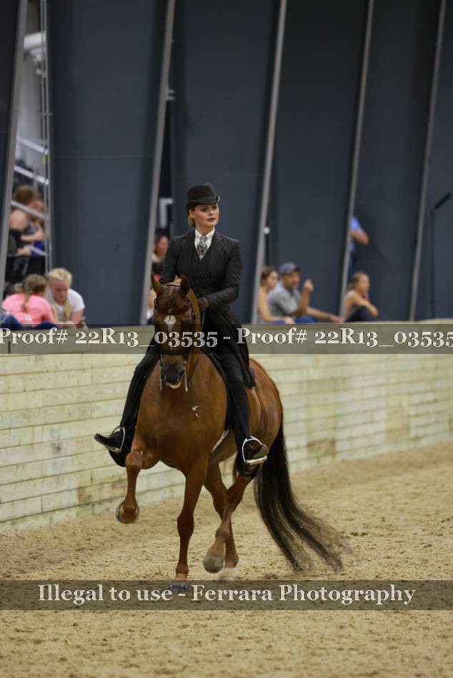 Proof 22R13_03535