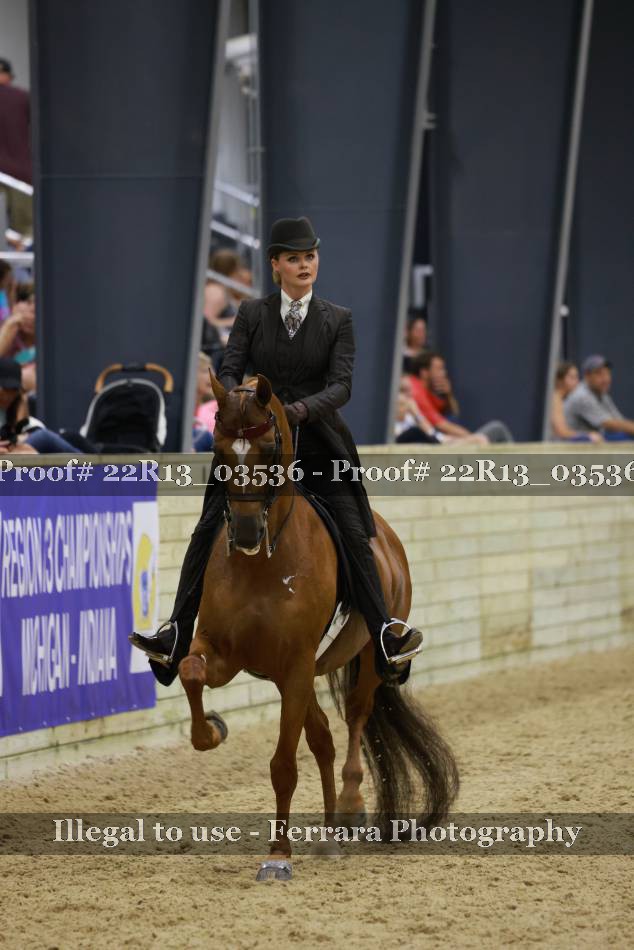 Proof 22R13_03536