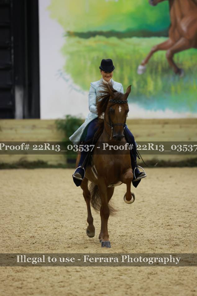Proof 22R13_03537