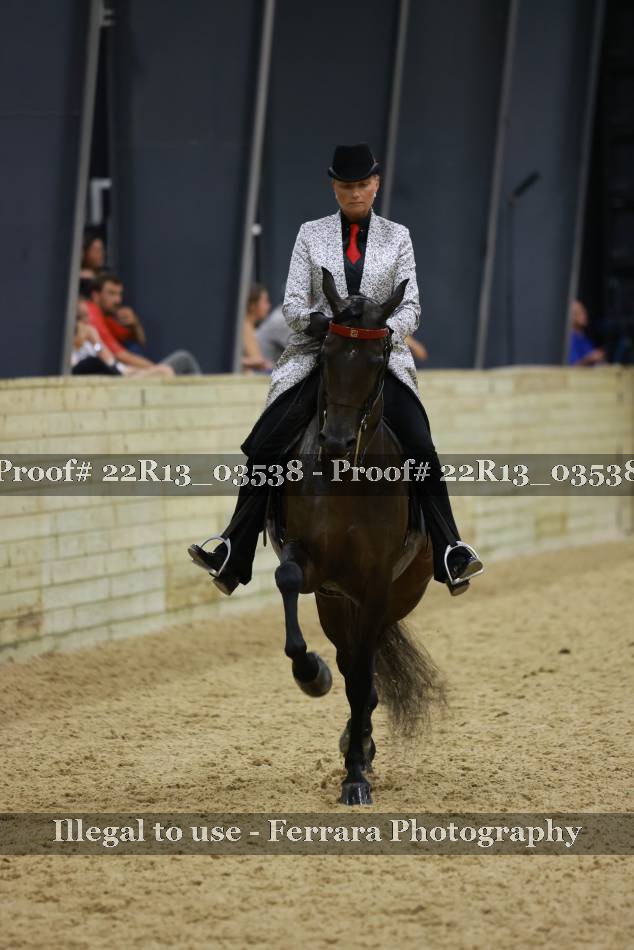 Proof 22R13_03538