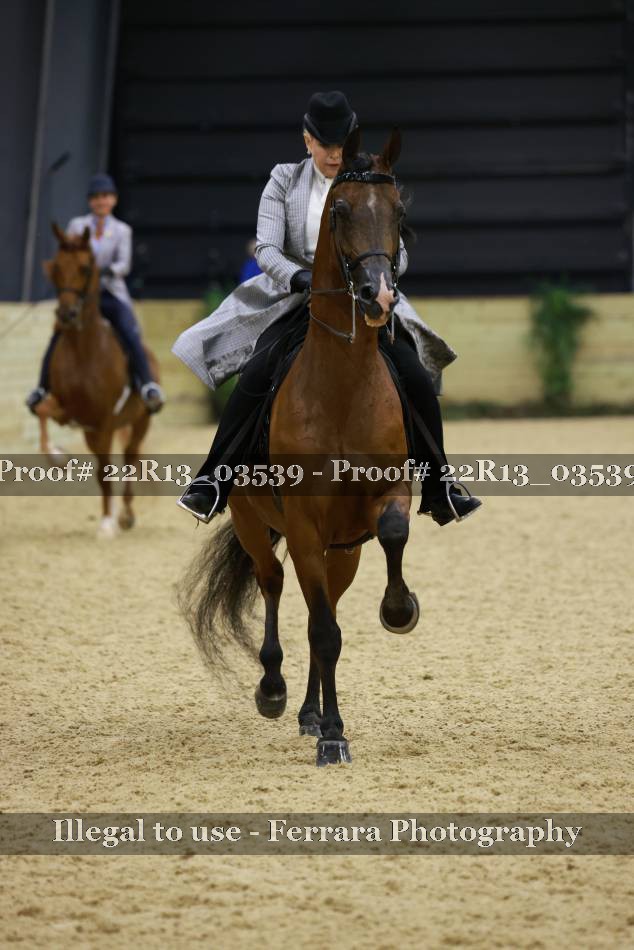 Proof 22R13_03539