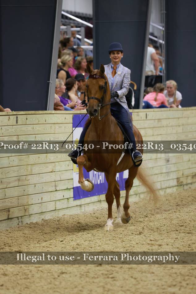 Proof 22R13_03540