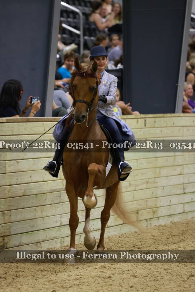 Proof 22R13_03541