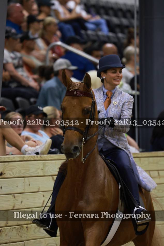 Proof 22R13_03542