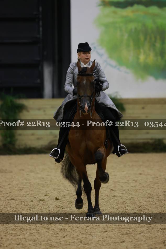 Proof 22R13_03544