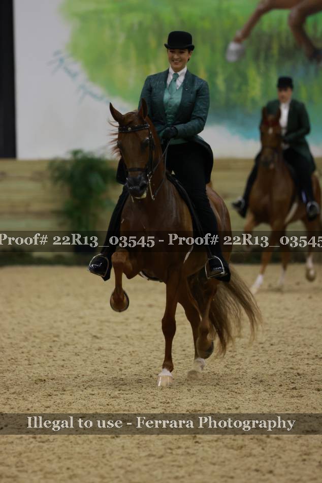 Proof 22R13_03545