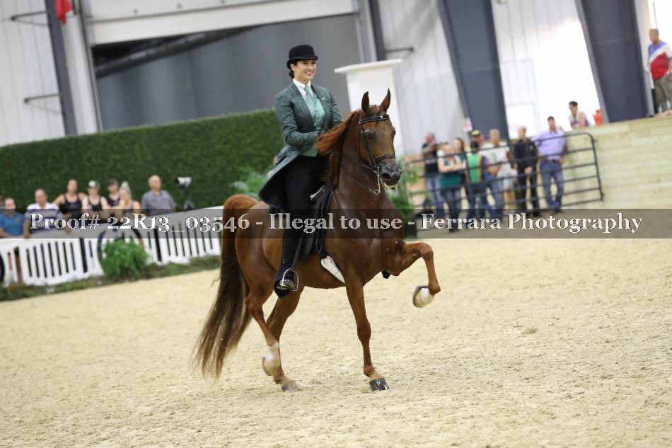 Proof 22R13_03546