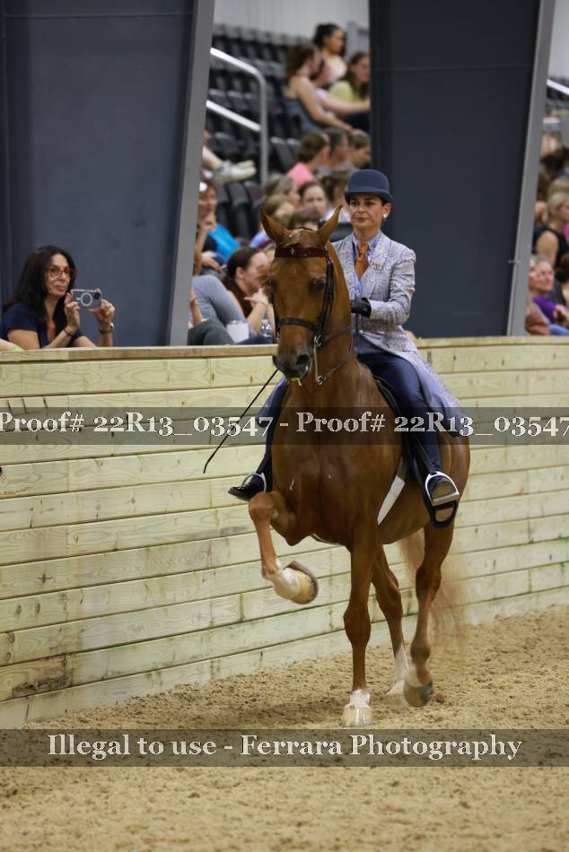 Proof 22R13_03547