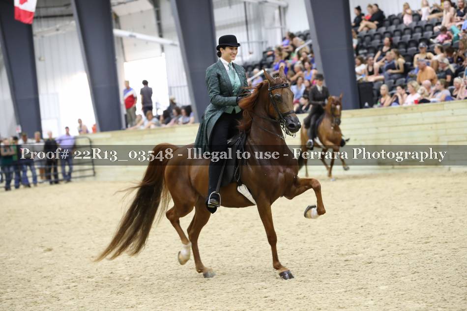 Proof 22R13_03548
