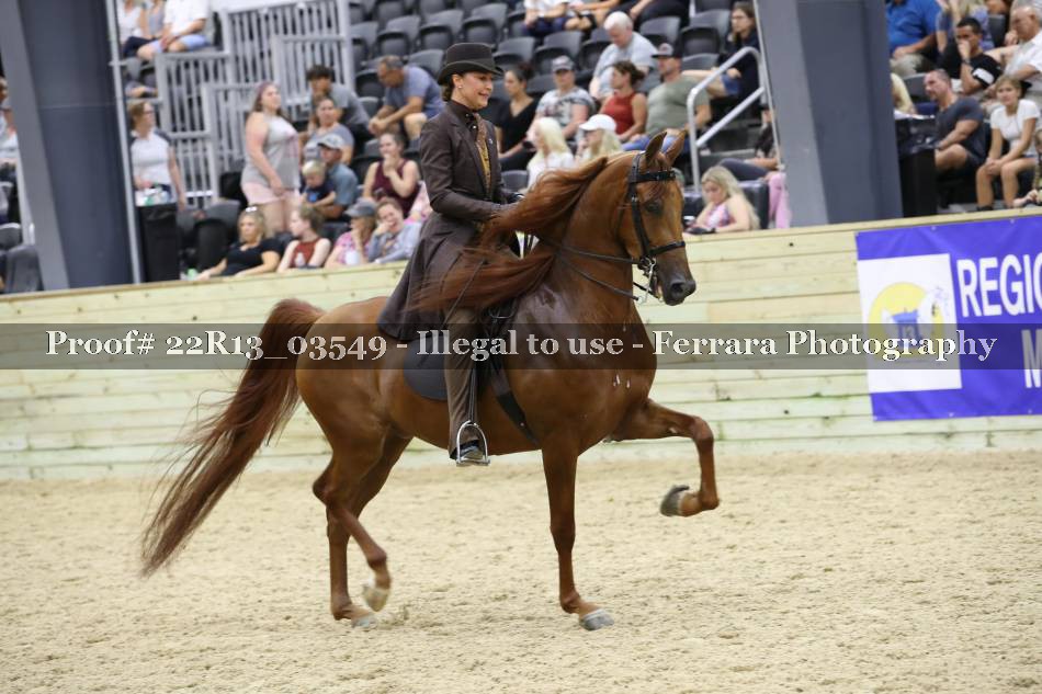 Proof 22R13_03549