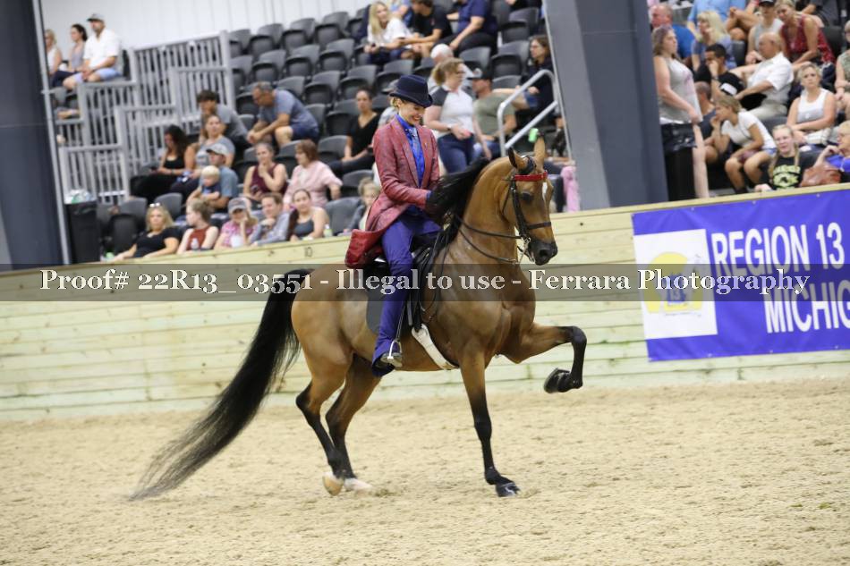 Proof 22R13_03551