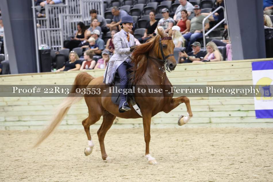 Proof 22R13_03553