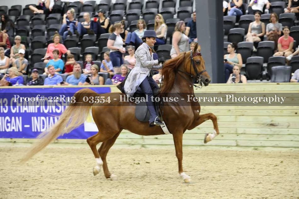 Proof 22R13_03554