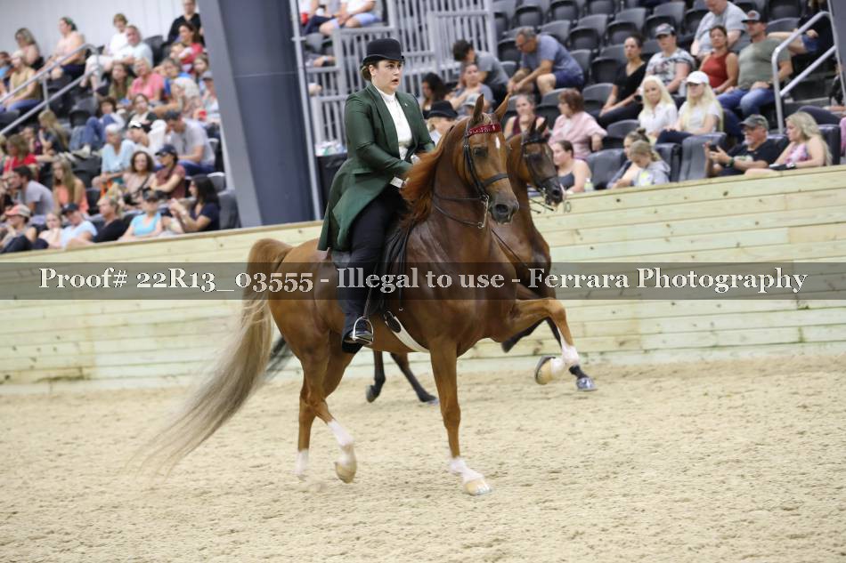 Proof 22R13_03555