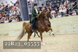 22R13_03555 proof