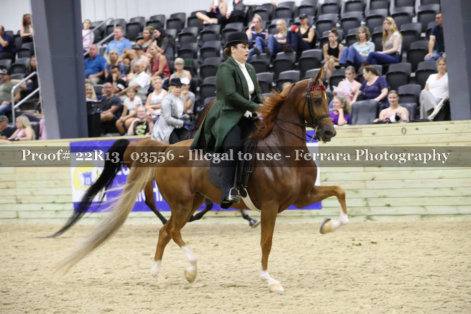 Proof 22R13_03556