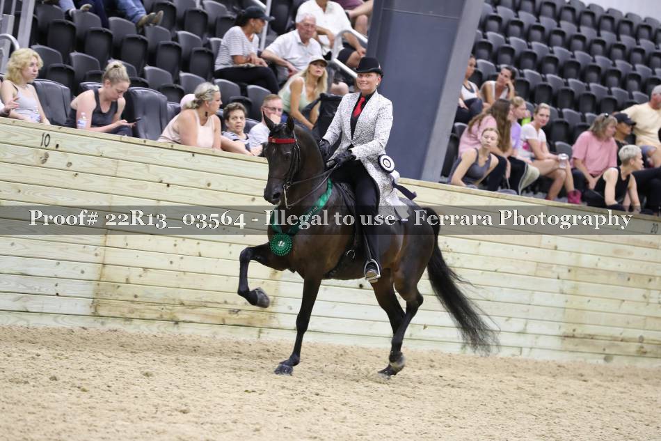 Proof 22R13_03564