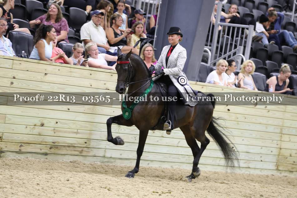 Proof 22R13_03565