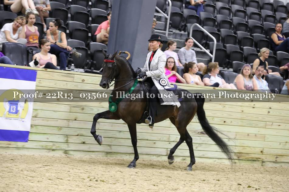 Proof 22R13_03566