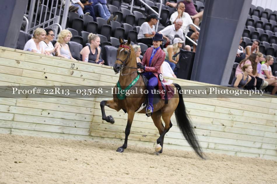Proof 22R13_03568