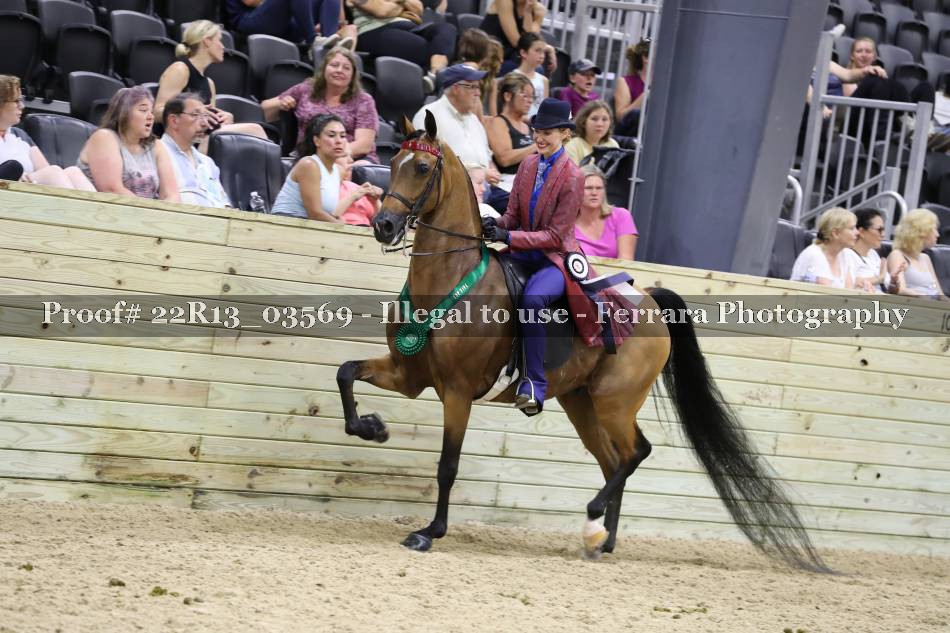 Proof 22R13_03569