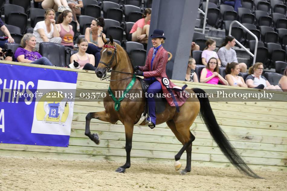 Proof 22R13_03570
