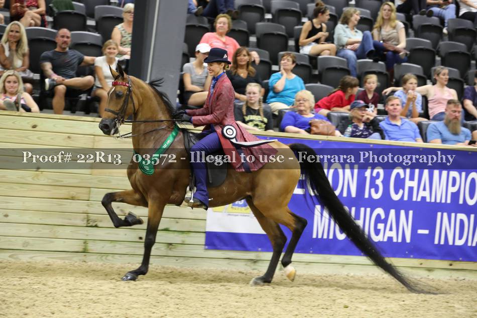 Proof 22R13_03572