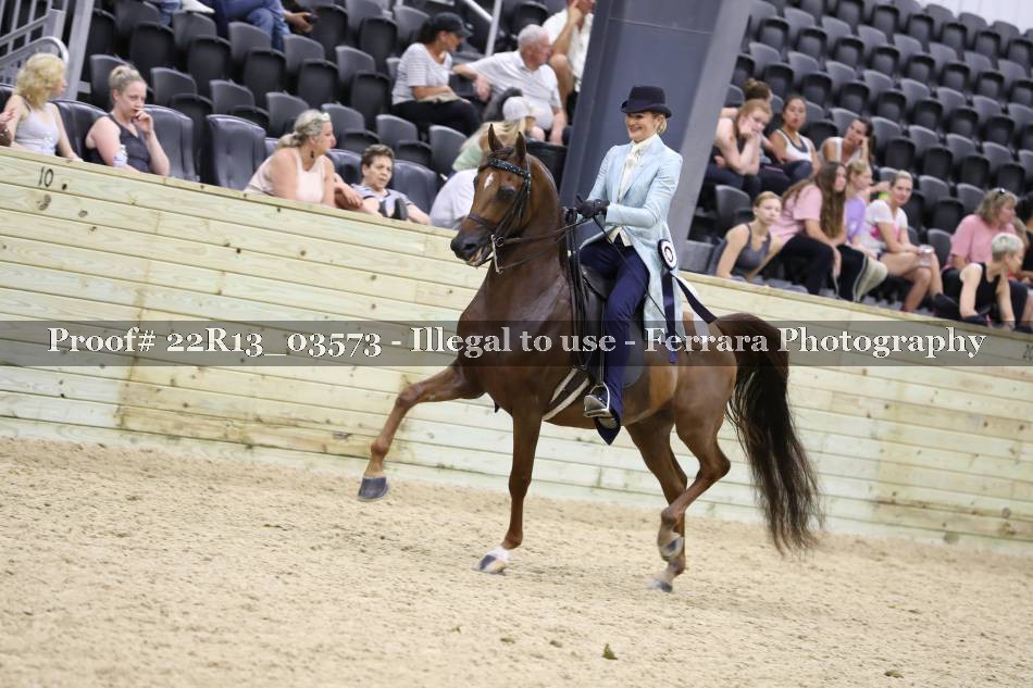 Proof 22R13_03573