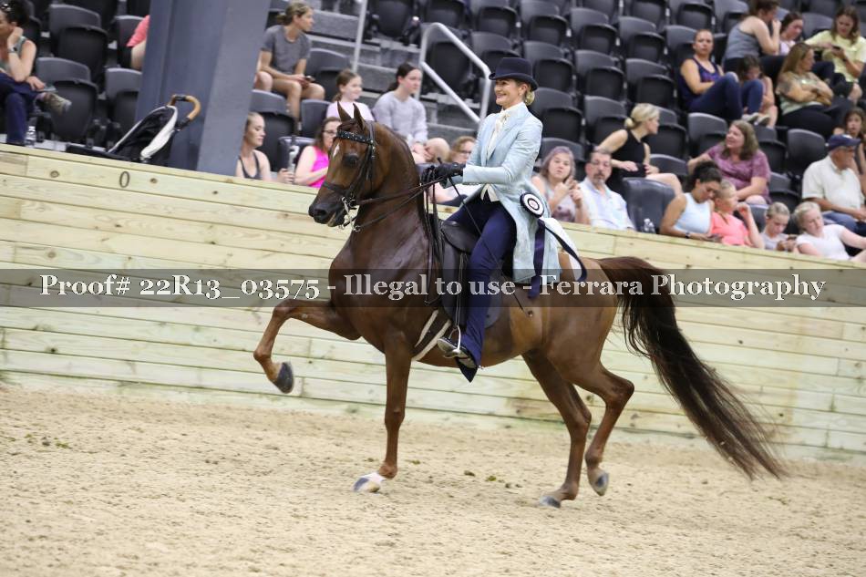 Proof 22R13_03575