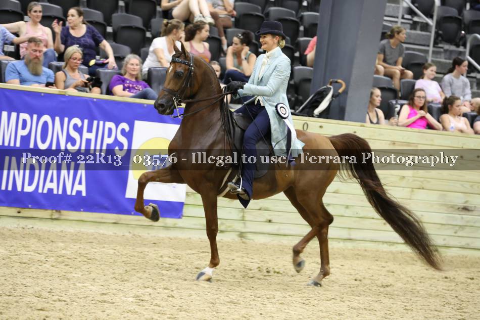 Proof 22R13_03576
