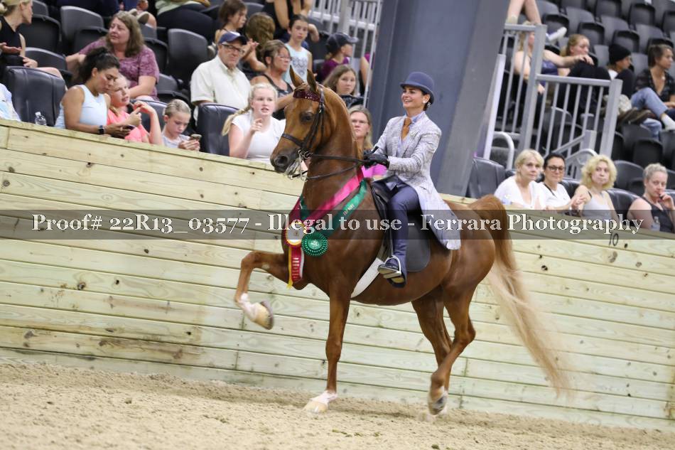 Proof 22R13_03577