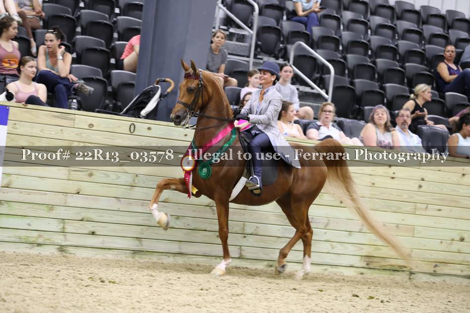 Proof 22R13_03578