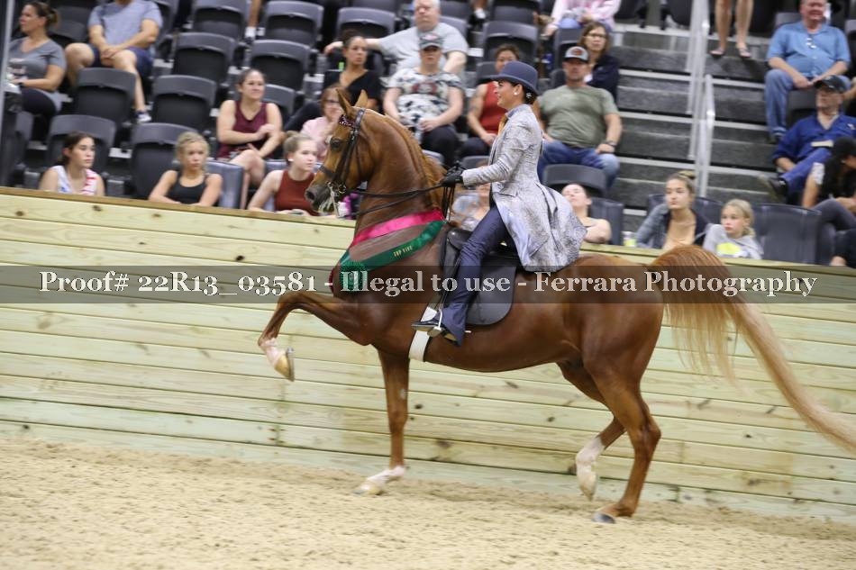 Proof 22R13_03581
