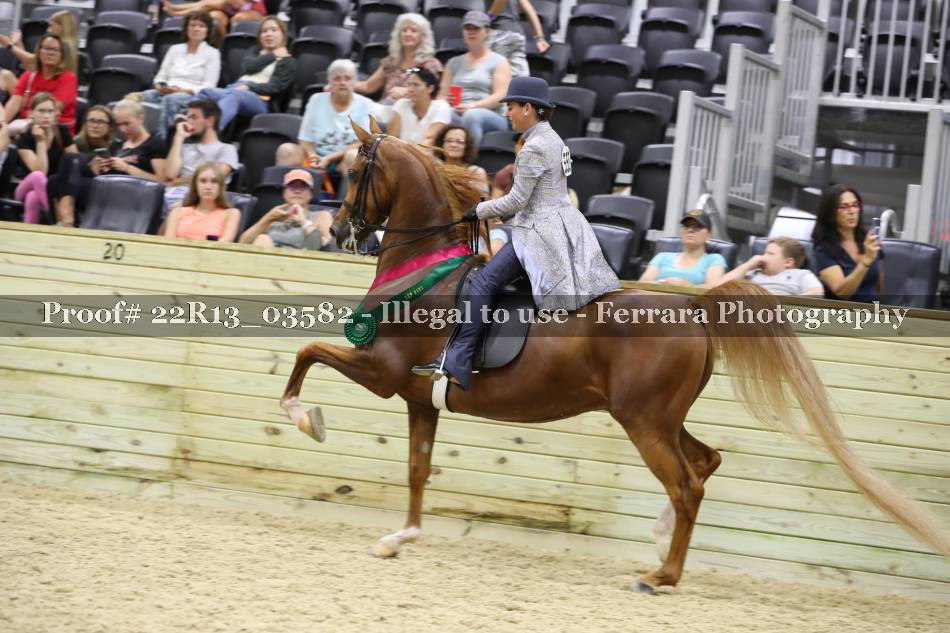 Proof 22R13_03582